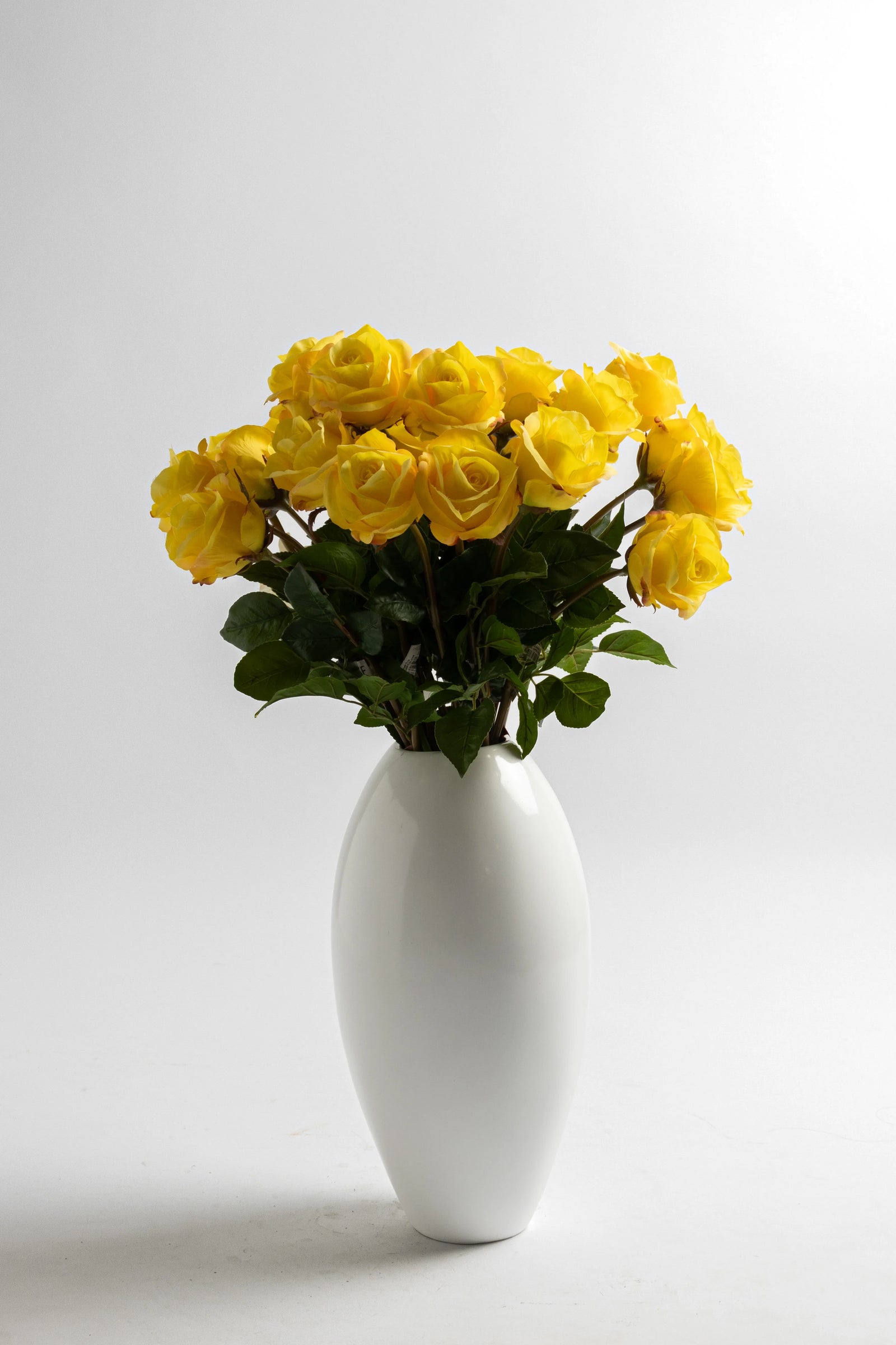 Flores y follajes